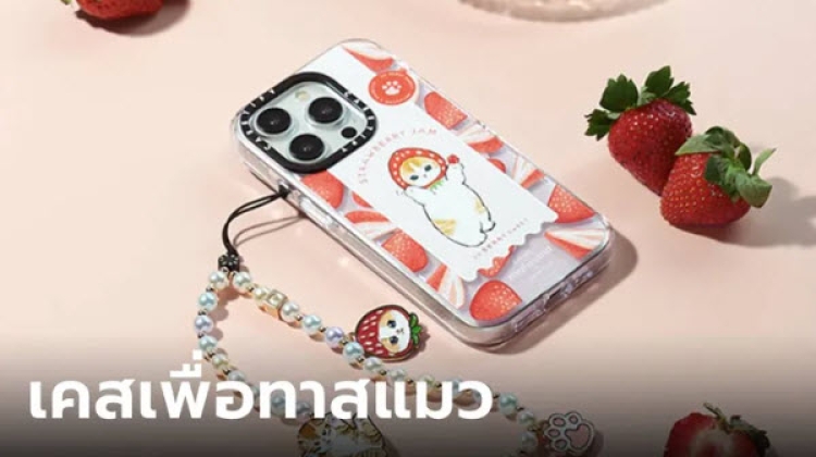 CASETiFY เอาใจทาสแมว กับอุปกรณ์ตกแต่งไอทีสไตล์เหมียว